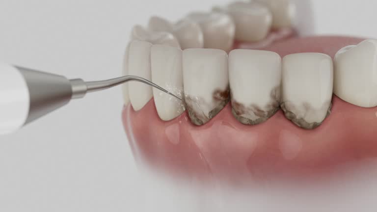 Reliable Dental contractor in Dandridge, TN by Dentist Open Now